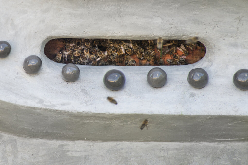 Mendel is... a Meteorologist and Beekeeper!